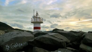 available hotline number provided