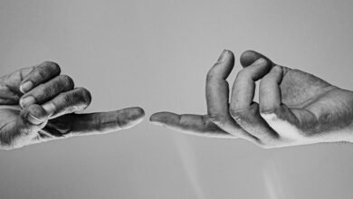 corporate support contact number