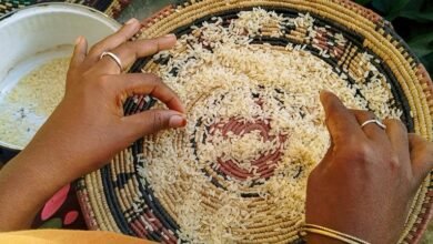 digital exploration of individuality