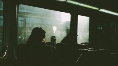 digital journey revealed unfolded