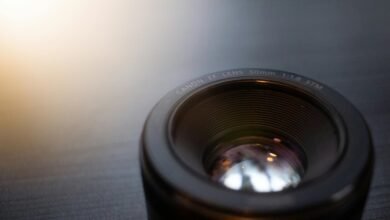 new digital entity emergence