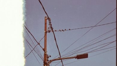 support line available 8442356275