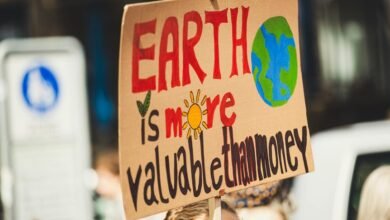 fair value for advocacy