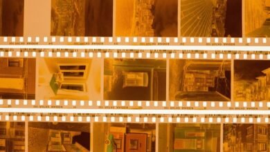 images in judicial proceedings