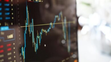 long term growth portfolio assessment