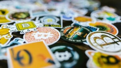 rising popularity of stocks